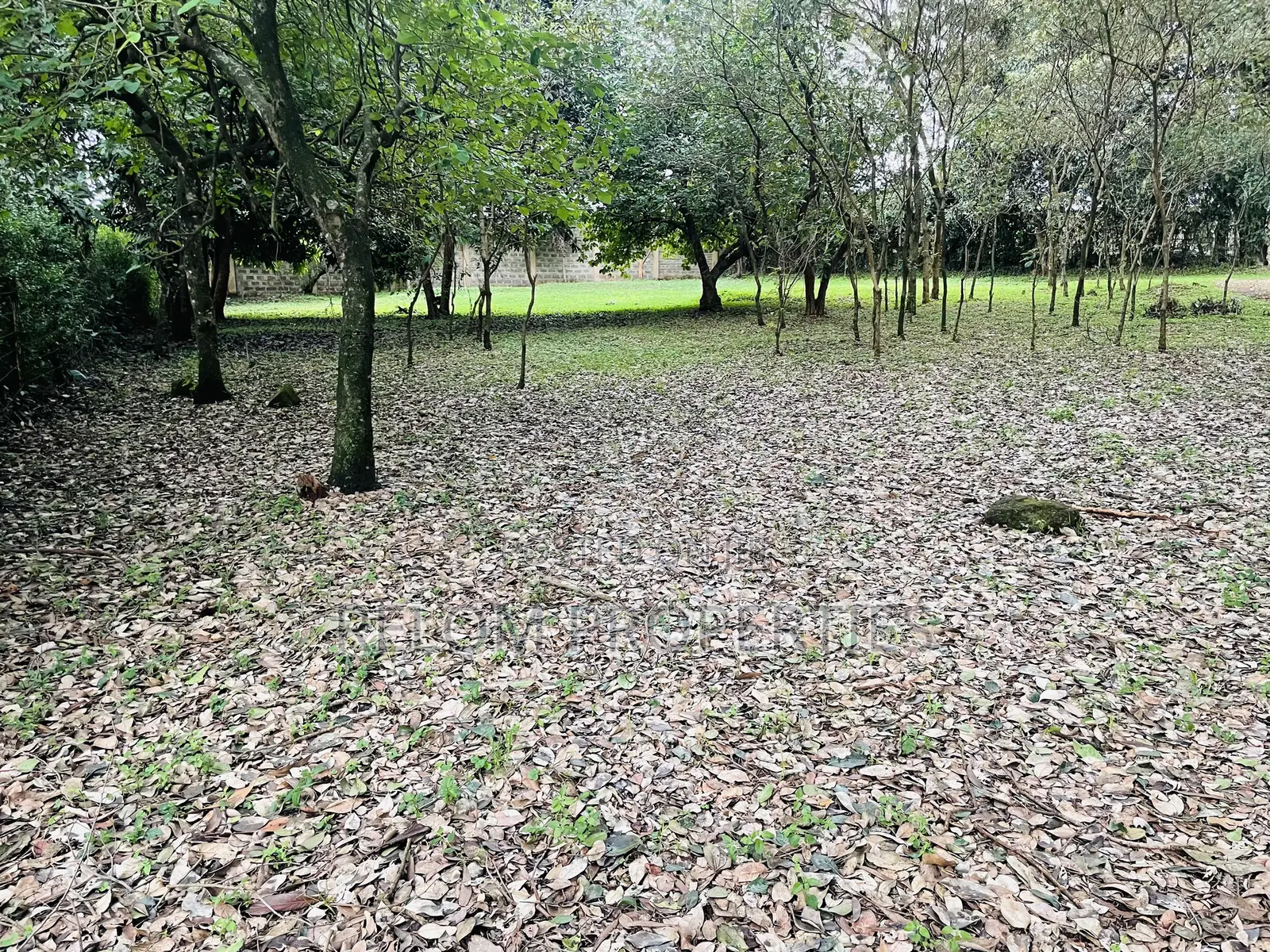 1 Acre Plot for Sale - Karen in Karen C