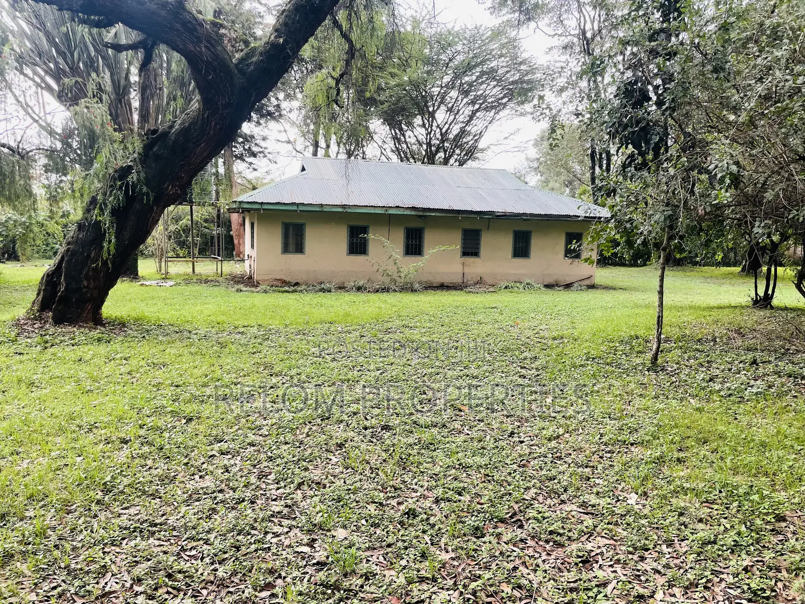 1 Acre Plot for Sale - Karen in Karen C