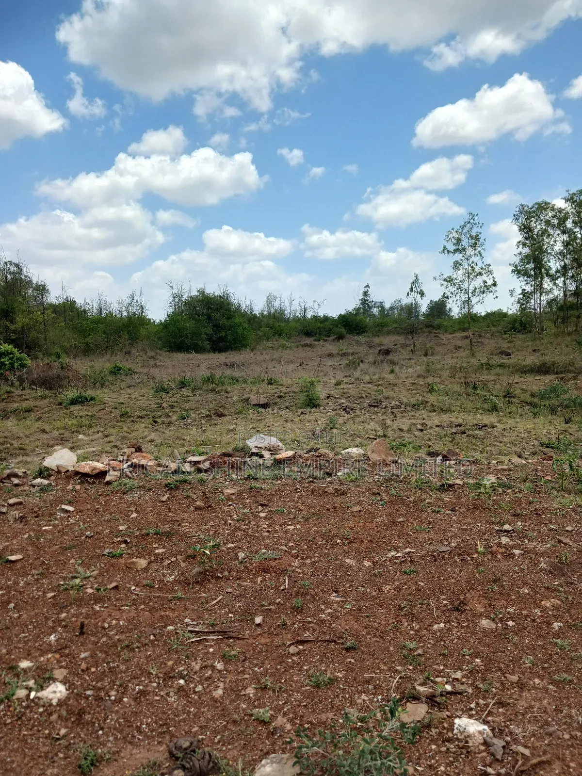 12 Acres for Sale in Nazarene Ongata Rongai in Ole Kasasi