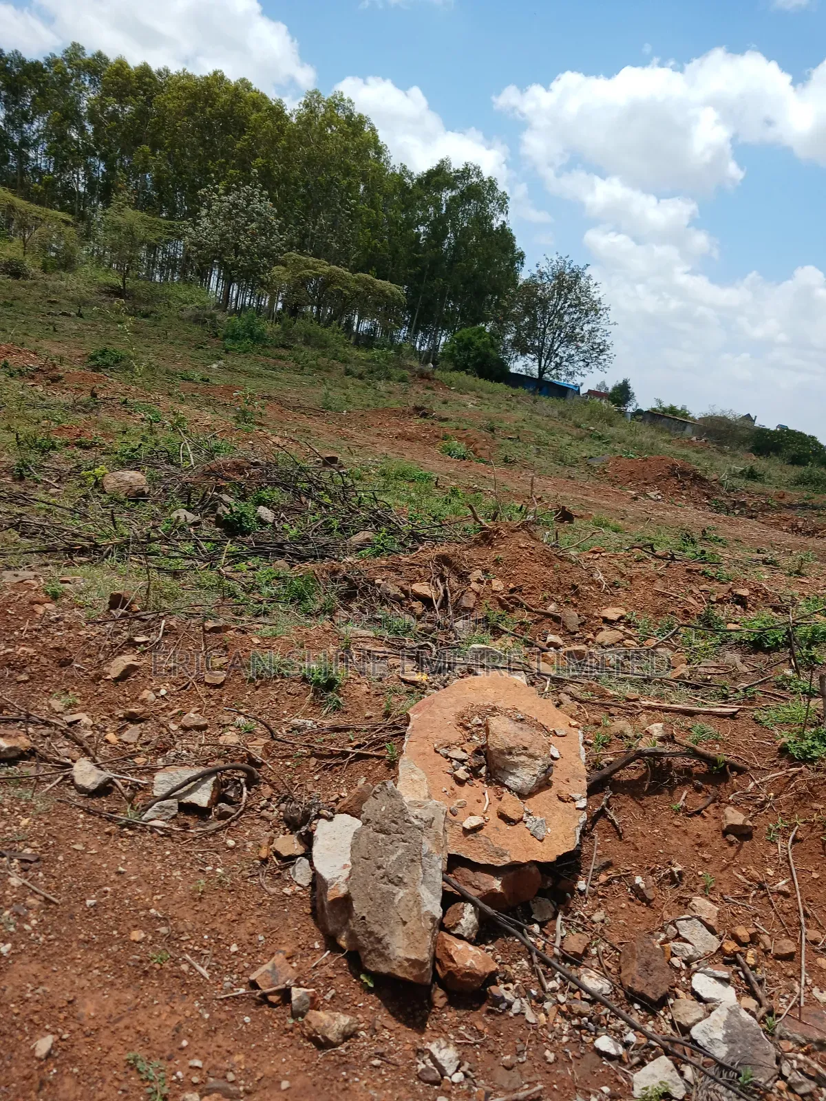 12 Acres for Sale in Nazarene Ongata Rongai in Ole Kasasi