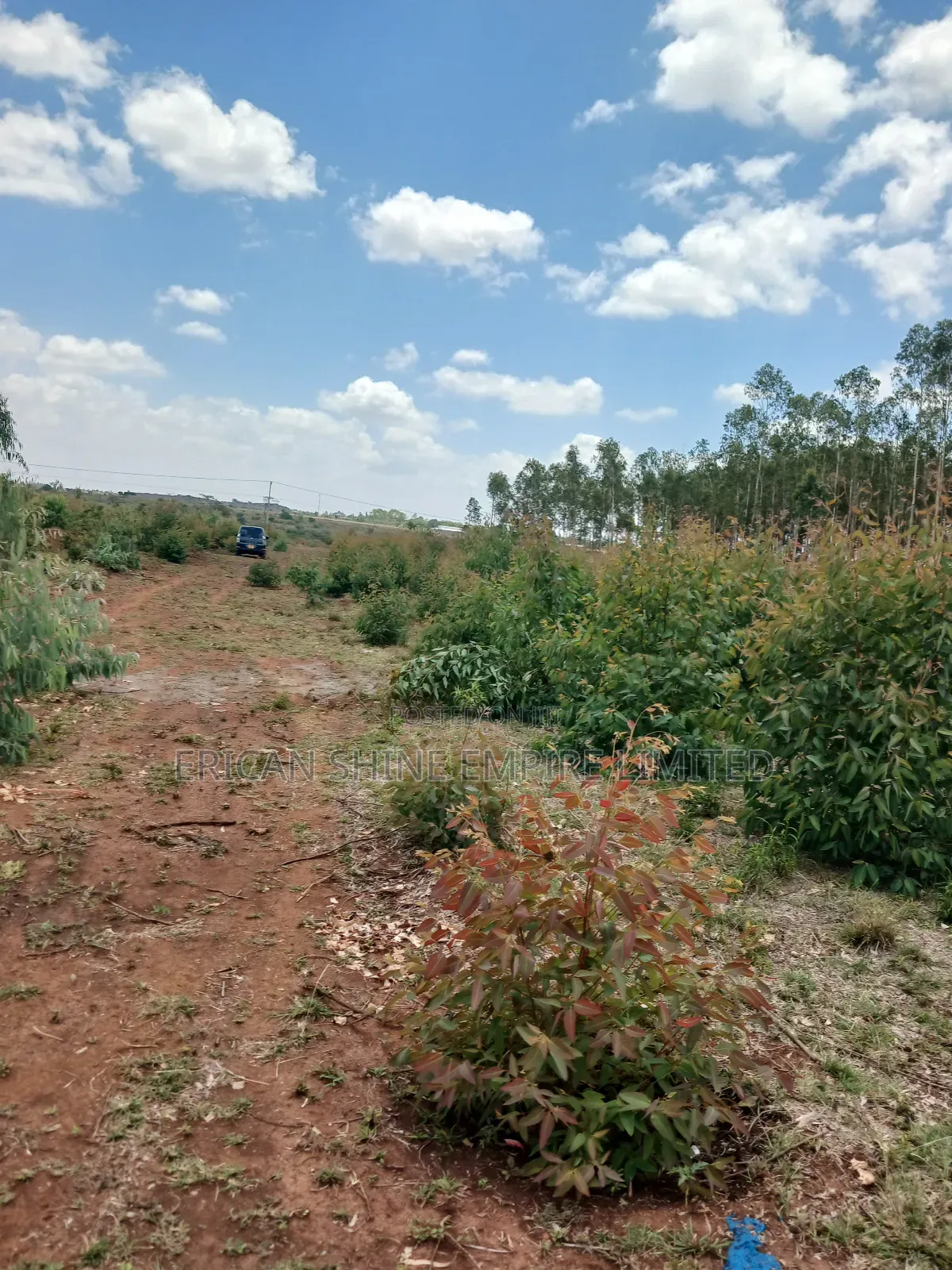 1 Acre for Sale in Ongata Rongai in Ole Kasasi