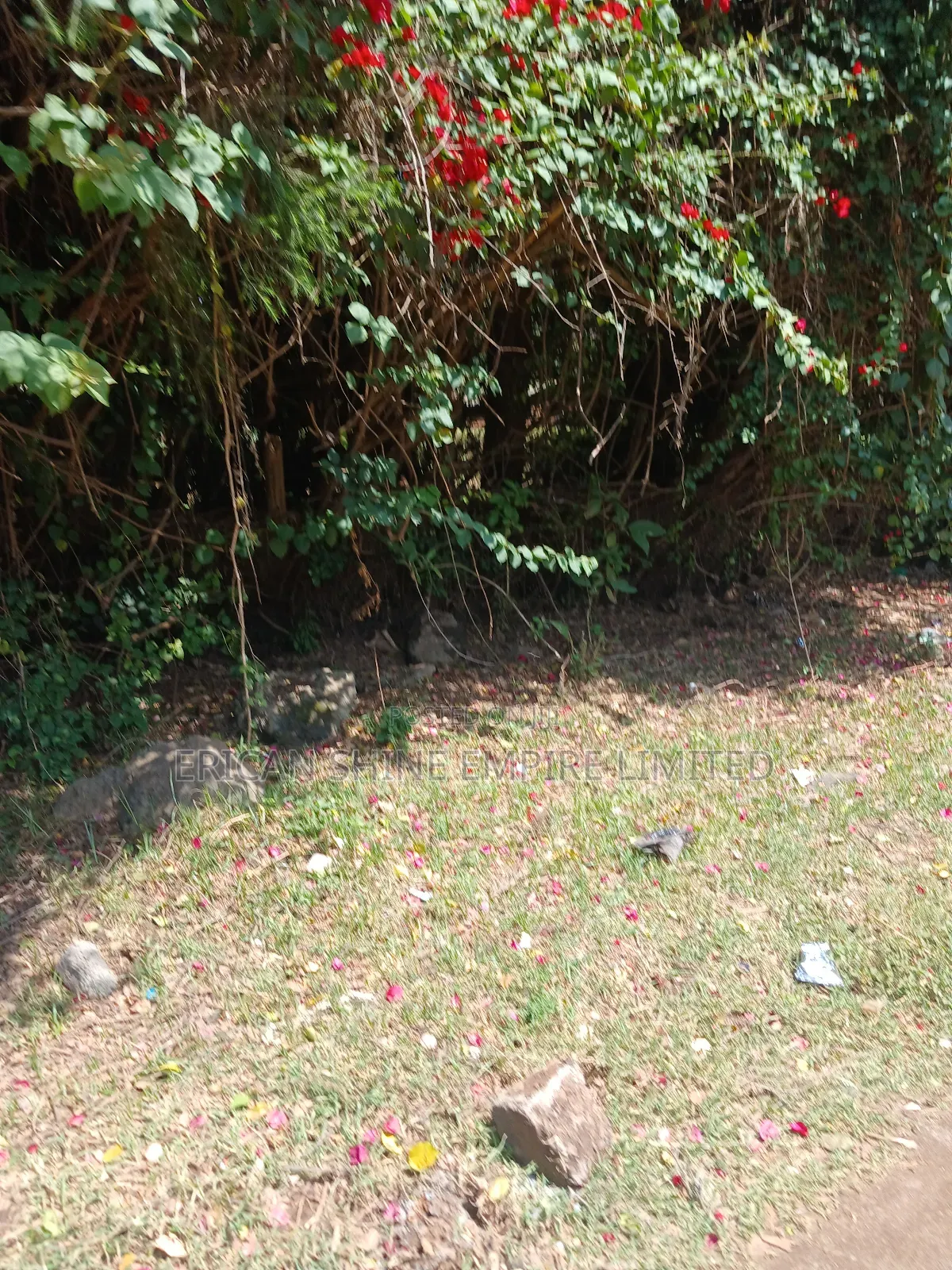 1/2 Acre for Sale in Ngong in Ngong CBD