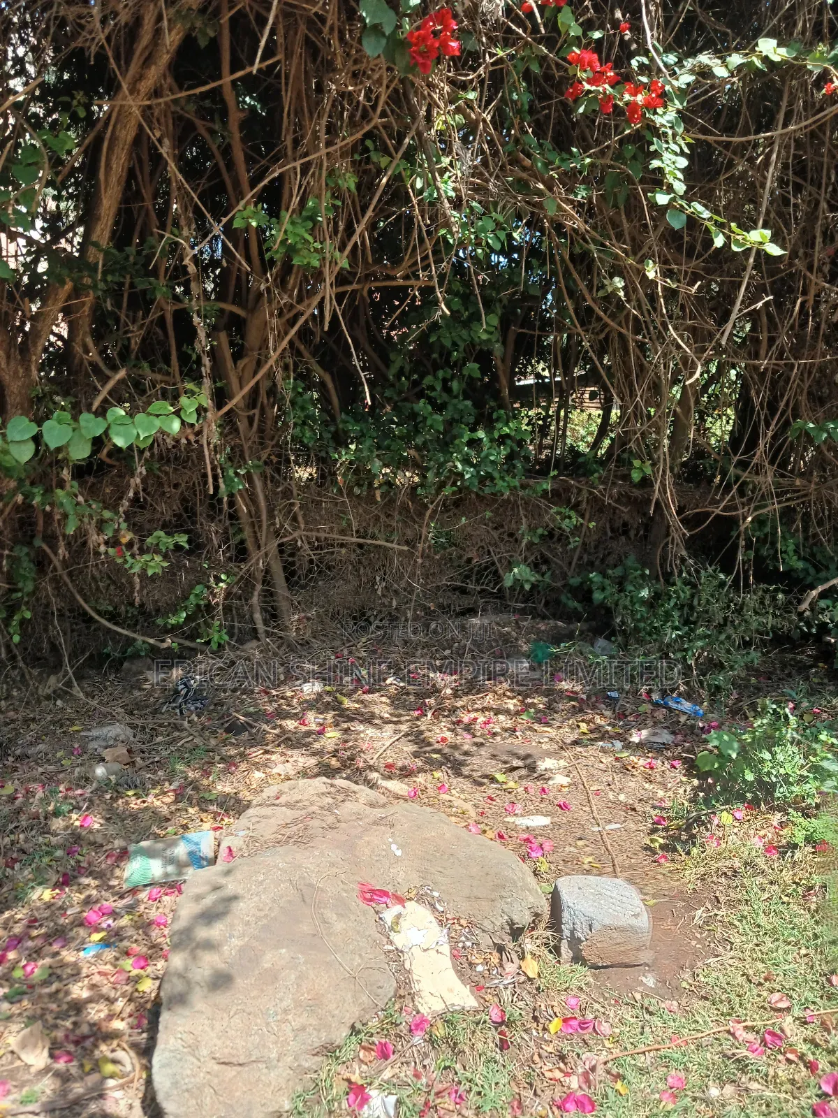 1/2 Acre for Sale in Ngong in Ngong CBD