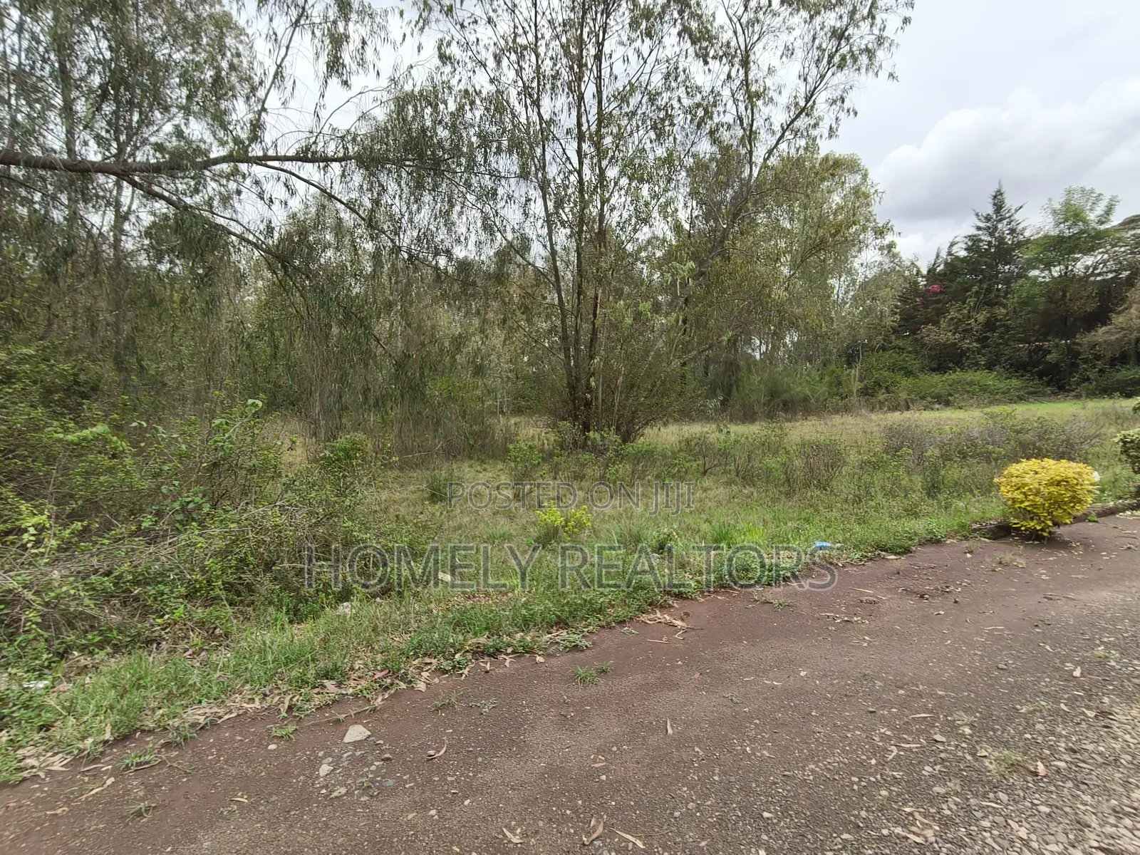Prime 2.6 Acres Touching Tarmac for Sale in Karen, Nairobi in Karen C