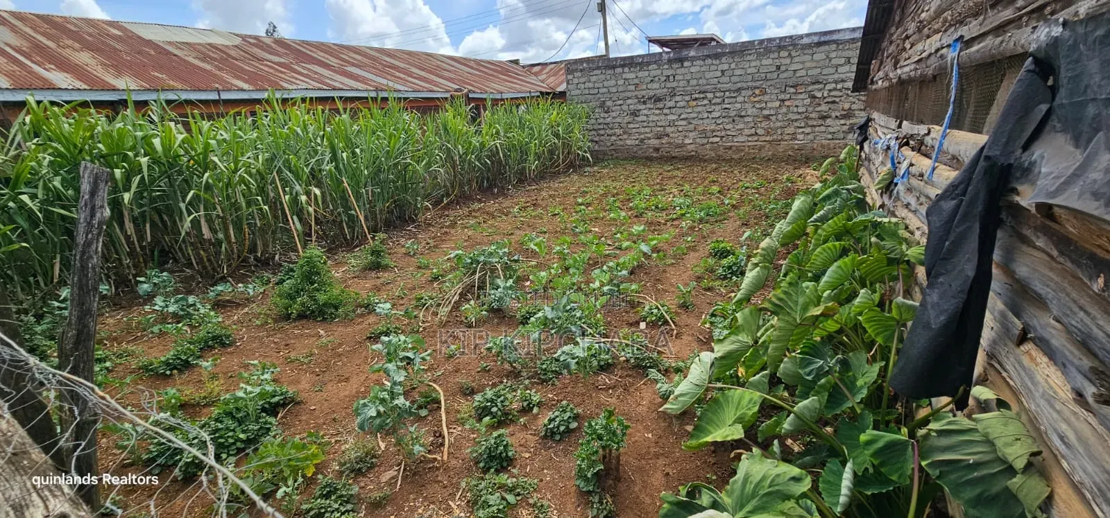 3bdrm Bungalow in Chepkoilel, Kimumu for sale in Kimumu