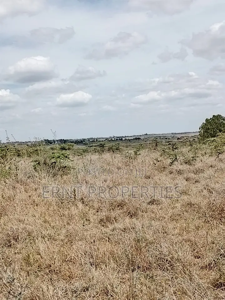 Prime Beachside Plots in Tulivu Gardens Kinondo – Perfect for Airbnb in Diani