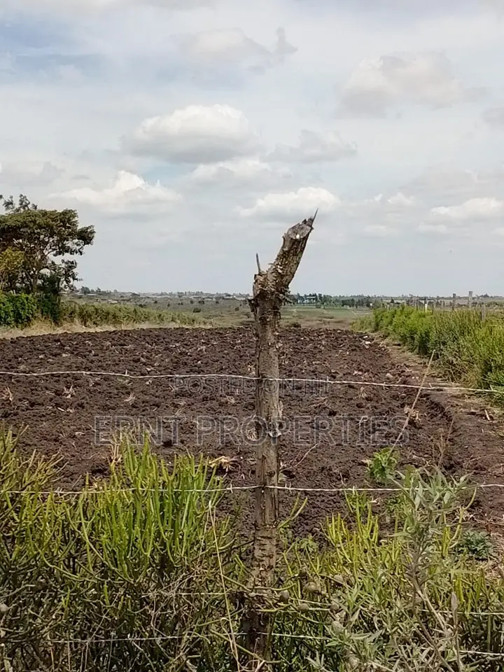 Prime Beachside Plots in Tulivu Gardens Kinondo – Perfect for Airbnb in Diani