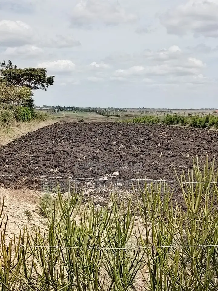 Prime Beachside Plots in Tulivu Gardens Kinondo – Perfect for Airbnb in Diani
