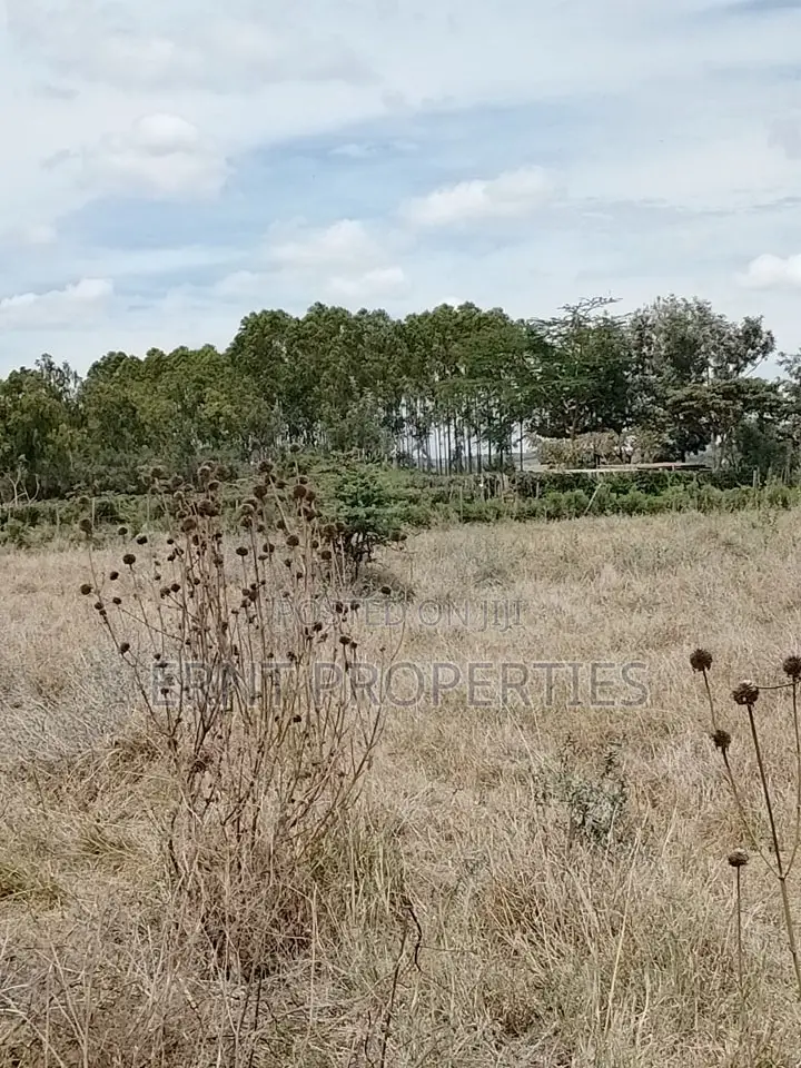 Prime Beachside Plots in Tulivu Gardens Kinondo – Perfect for Airbnb in Diani
