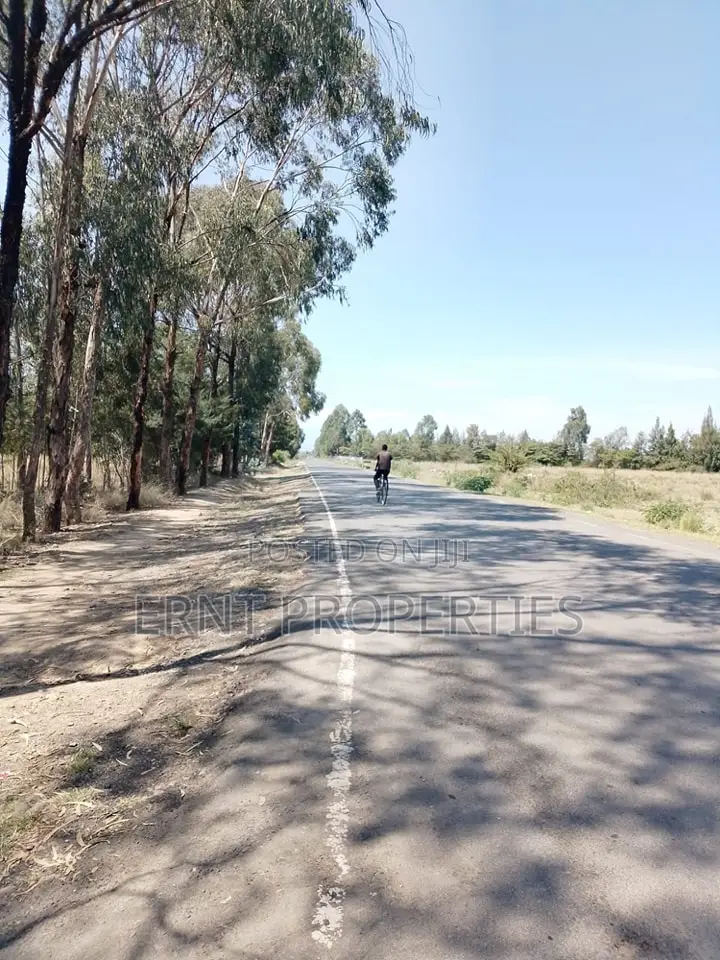 Rare Quarter Acre in Olpejeta Ridge in Nanyuki
