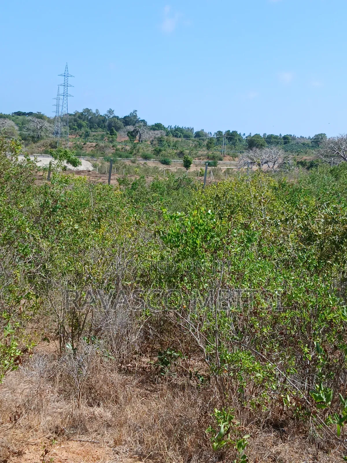 5 Acres Forsale in Kilifi Near Mnarani Secondary School. in Kilifi South