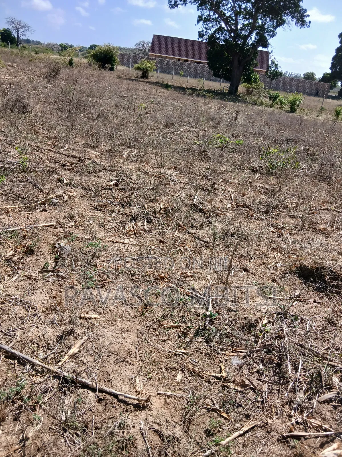 5 Acres Forsale in Kilifi Near Mnarani Secondary School. in Kilifi South