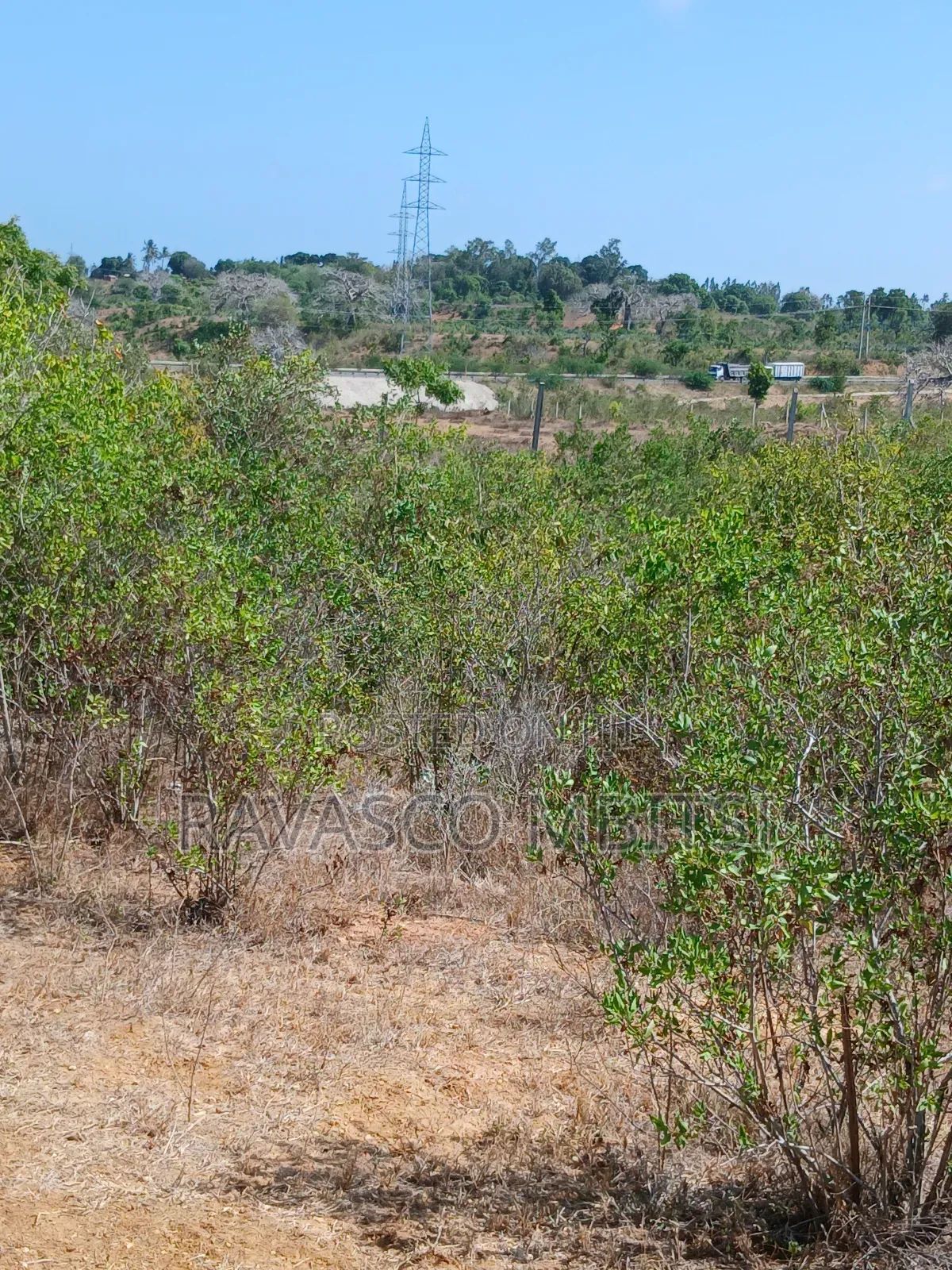5 Acres Forsale in Kilifi Near Mnarani Secondary School. in Kilifi South
