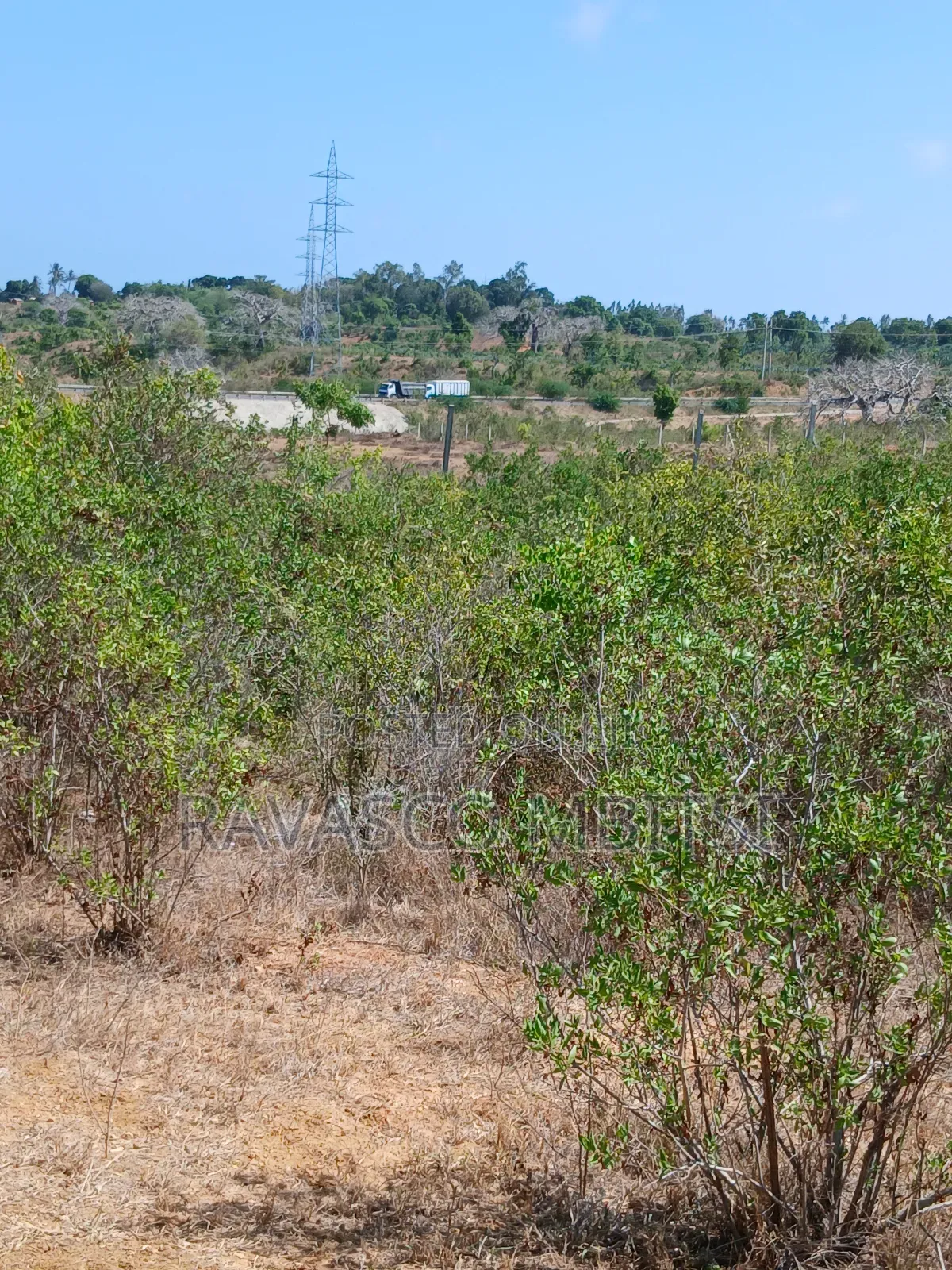 5 Acres Forsale in Kilifi Near Mnarani Secondary School. in Kilifi South