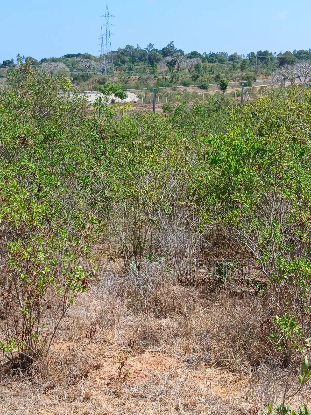 5 Acres Forsale in Kilifi Near Mnarani Secondary School. in Kilifi South