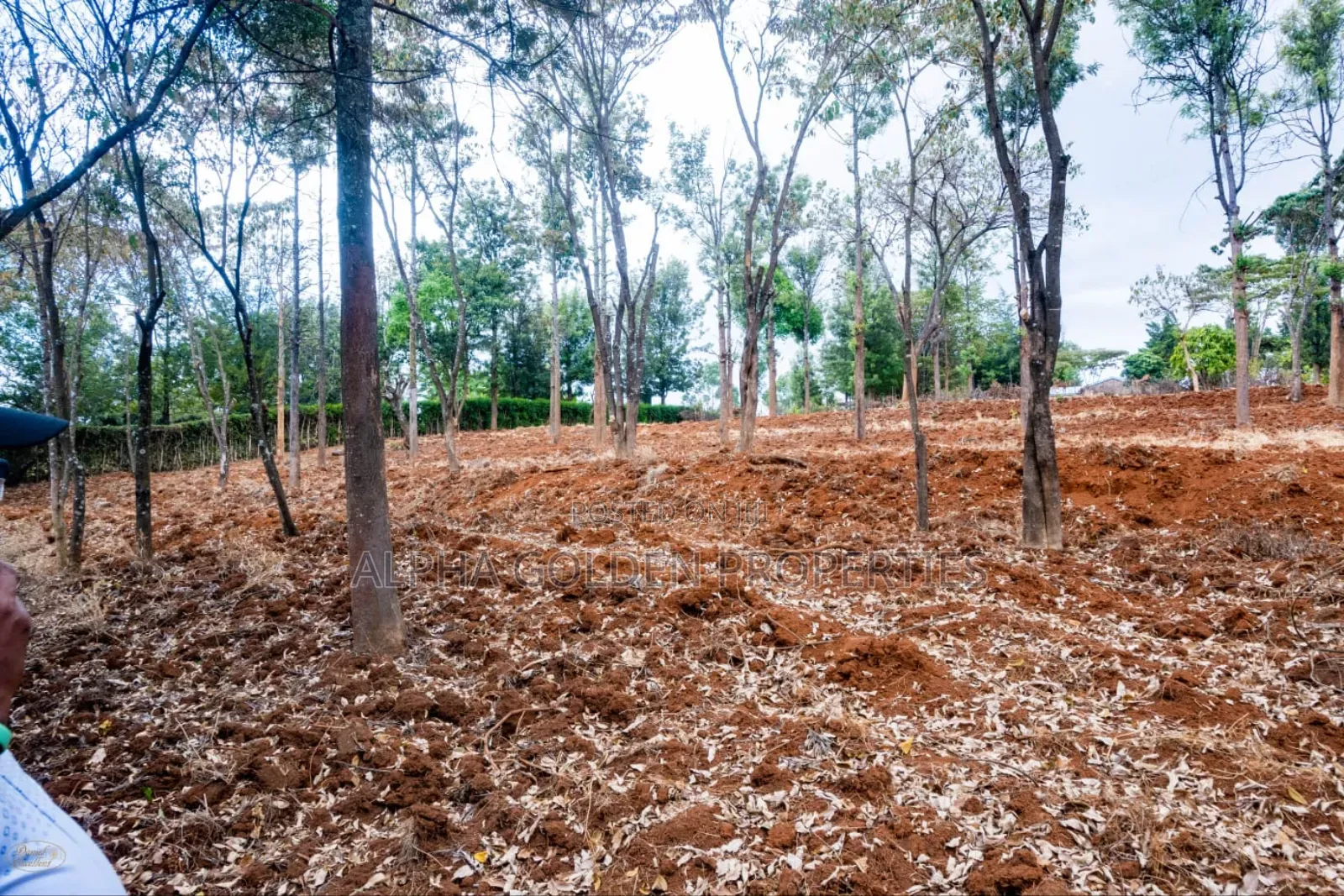 Ntrukuma 3 Acres for Sale [ Nanyuki ] in Gakawa
