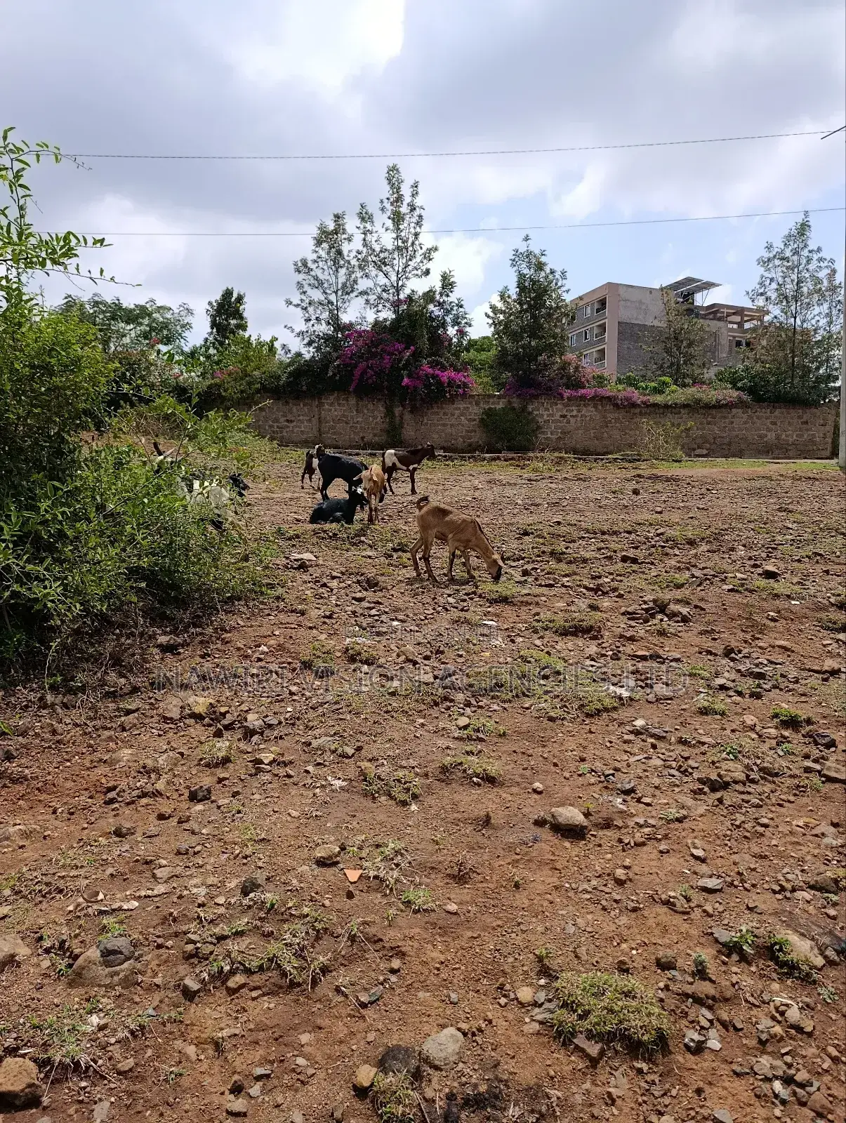 3 Acres Plot for Sale in Chokaa, Hurlingham in Chokaa
