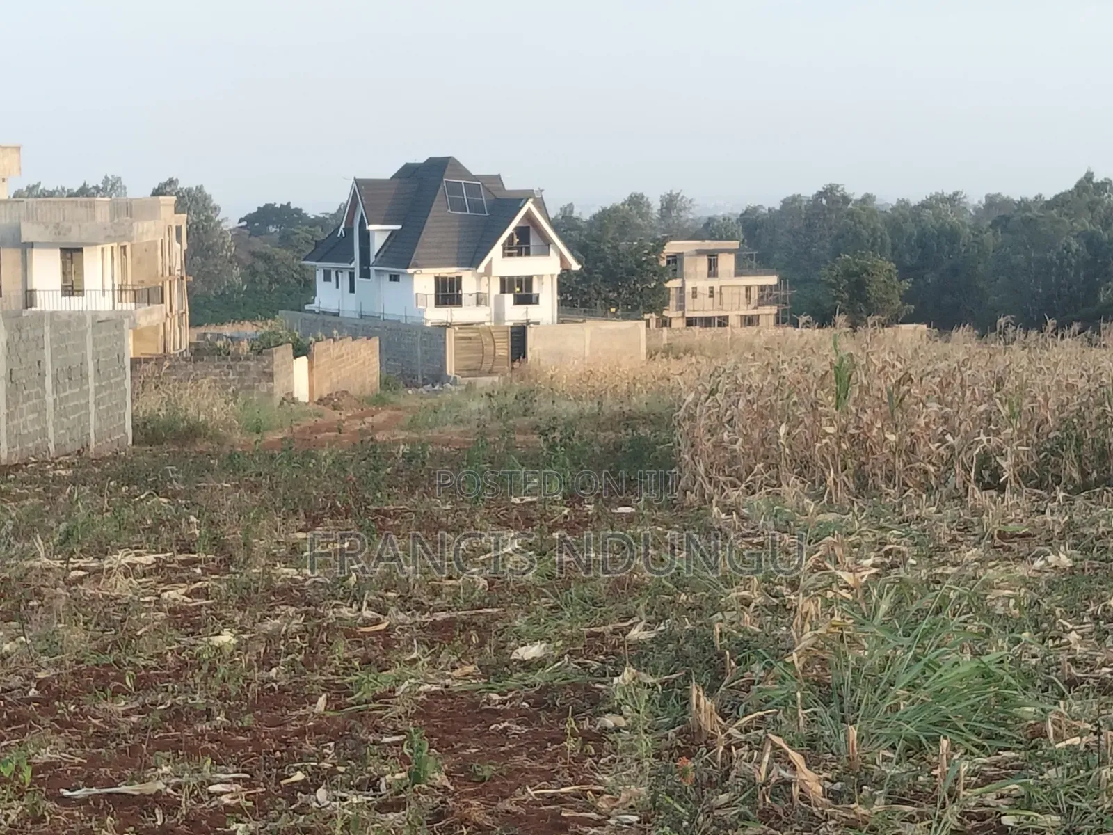 Tinganga Anmer Residential Plots for Sale. Kiambu Town. in Kiambu / Kiambu