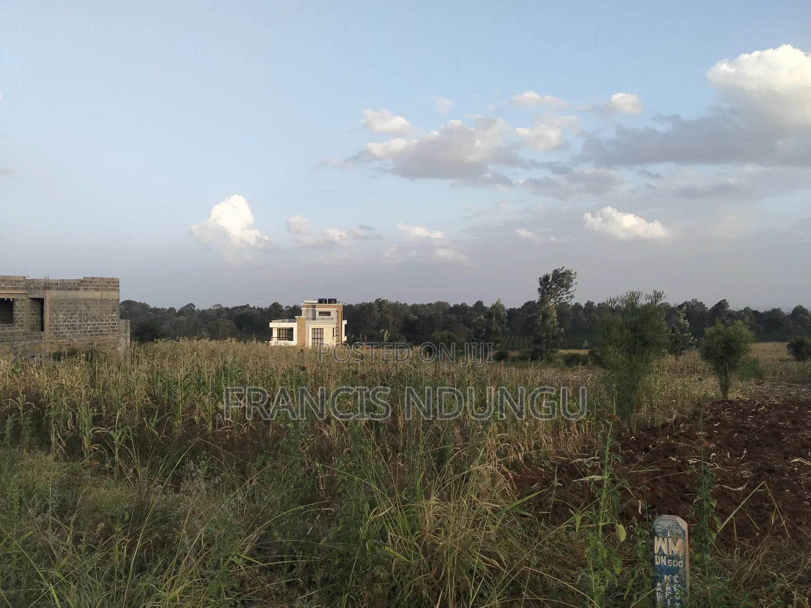 Tinganga Anmer Residential Plots for Sale. Kiambu Town. in Kiambu / Kiambu