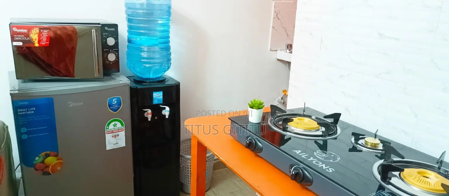 Furnished Studio Nanyuki | Near Artcaffé Moran Lounge | Secure | in Nanyuki