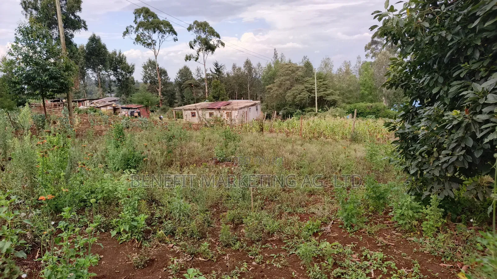 1⁄8 Acre Plot for Sale in Ngong Kahara Centre in Ngong