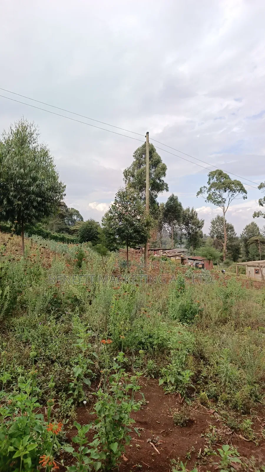 1⁄8 Acre Plot for Sale in Ngong Kahara Centre in Ngong