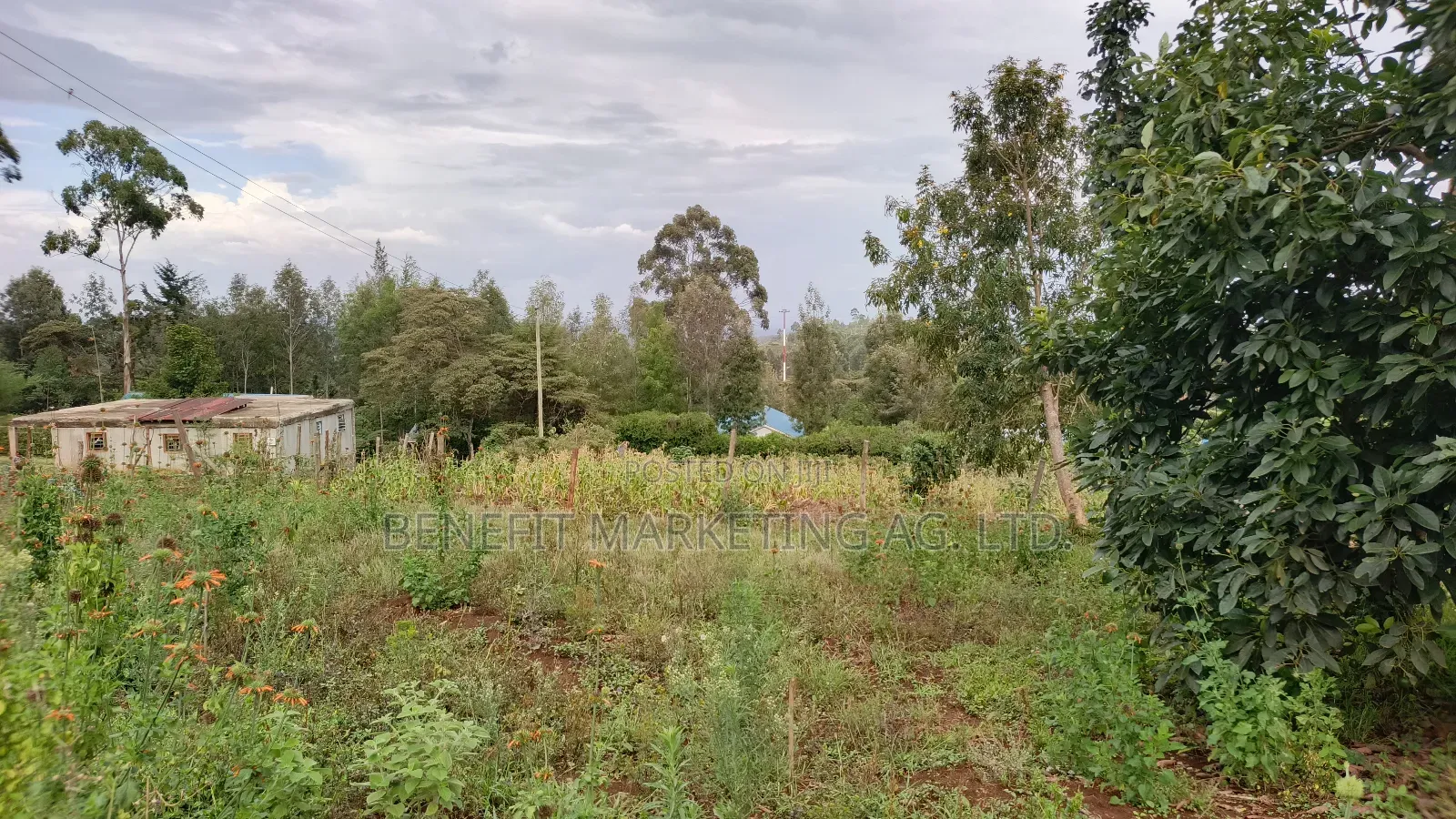 1⁄8 Acre Plot for Sale in Ngong Kahara Centre in Ngong