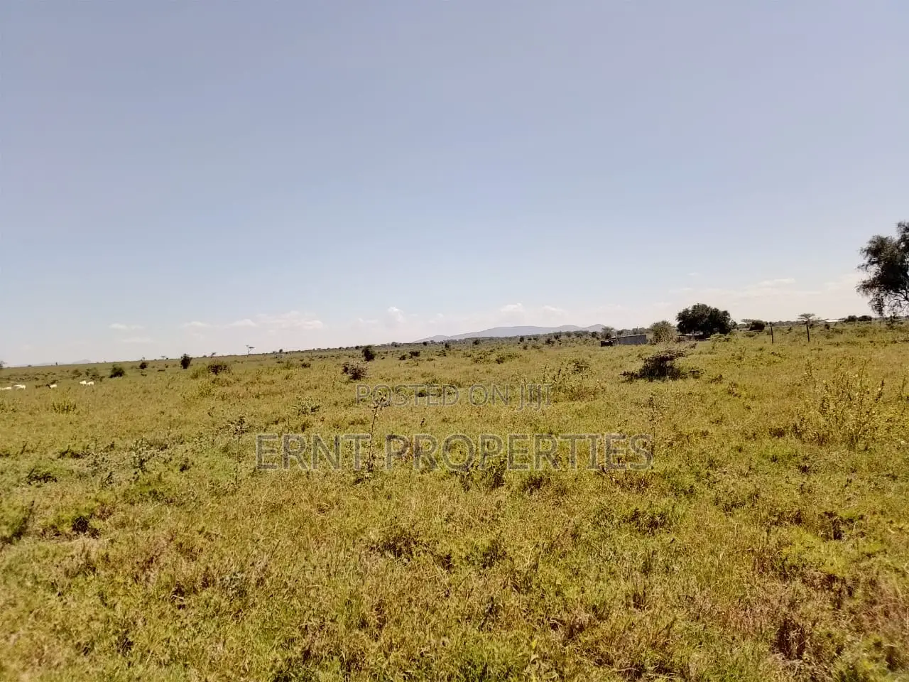 7 Acres Prime Fertile Land For Sale In Kajiado Oloosuyan in Kajiado