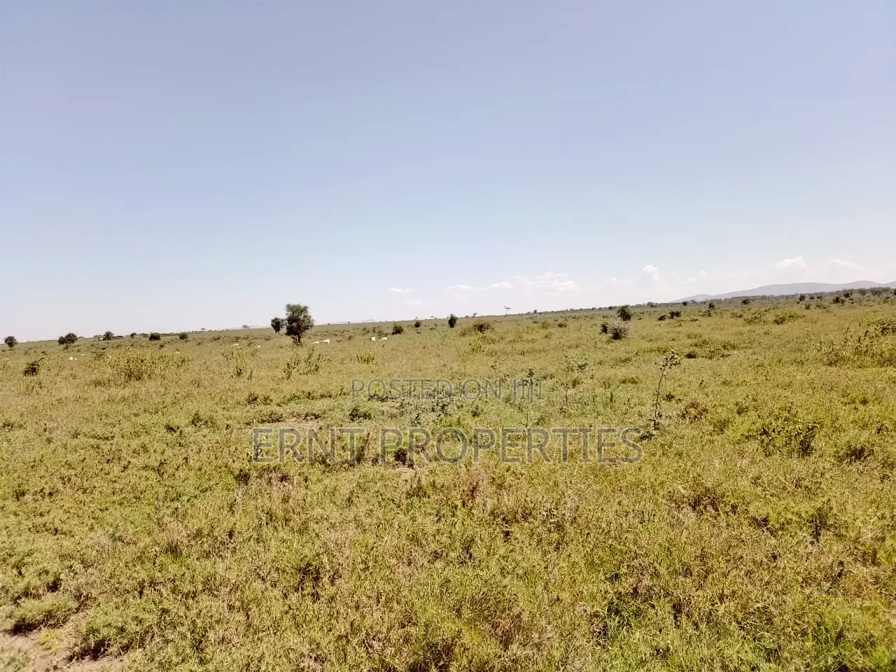 7 Acres Prime Fertile Land For Sale In Kajiado Oloosuyan in Kajiado