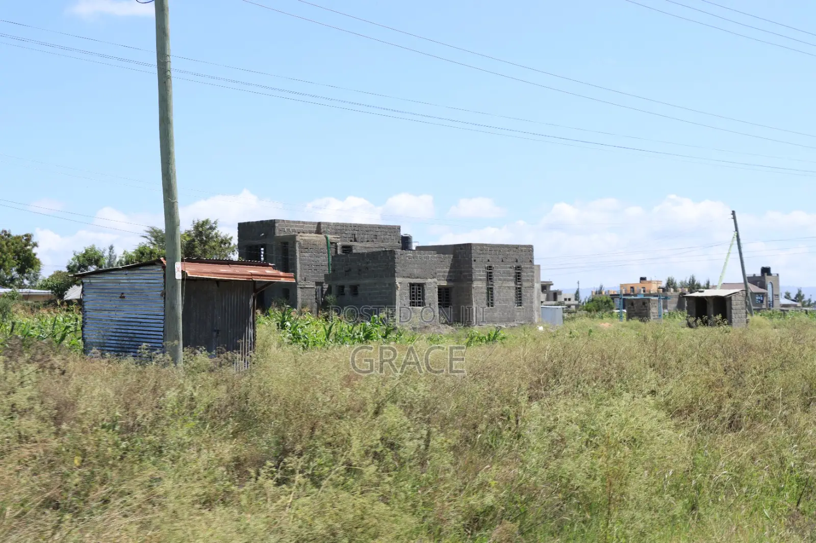 Taji Gardens Isinya – Affordable 50x100 Plots in Kiserian