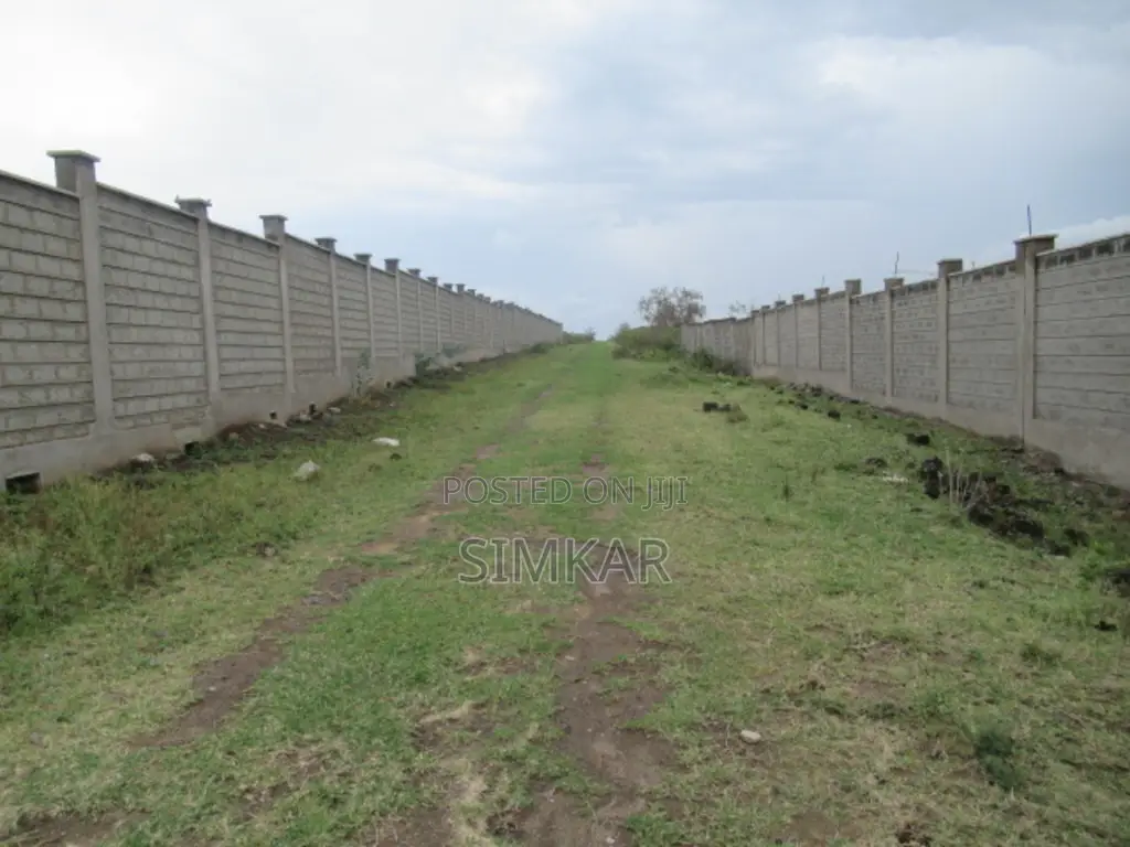 10-Acre Blocks of Land for Sale in Sabaki, Athi River in Mlolongo