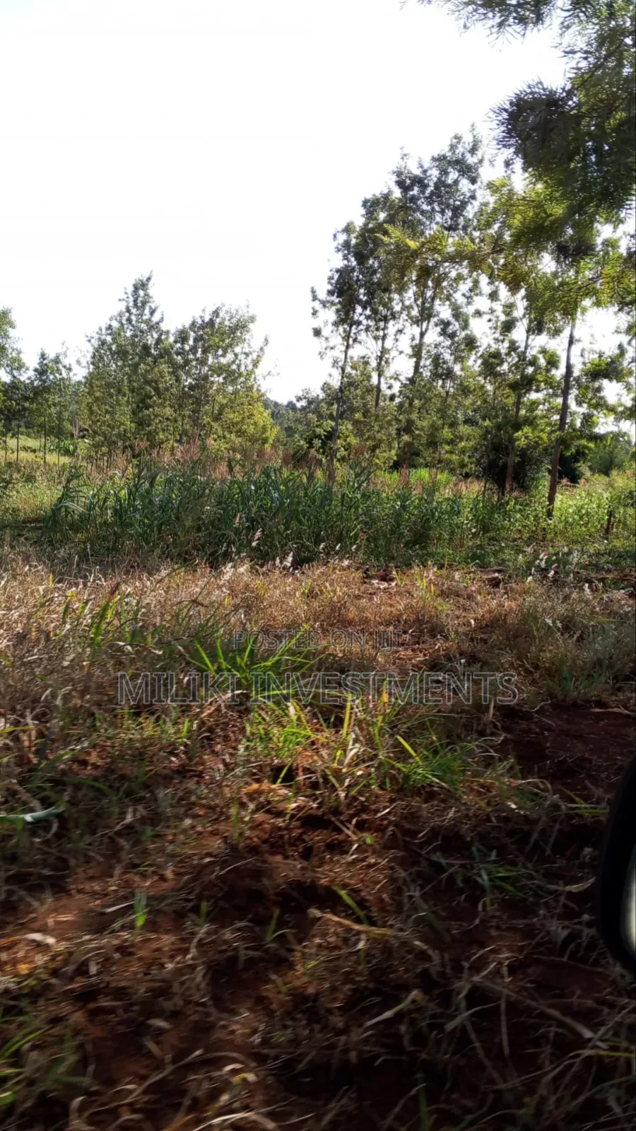 10 Acres on Sale Gatanga in Gatanga
