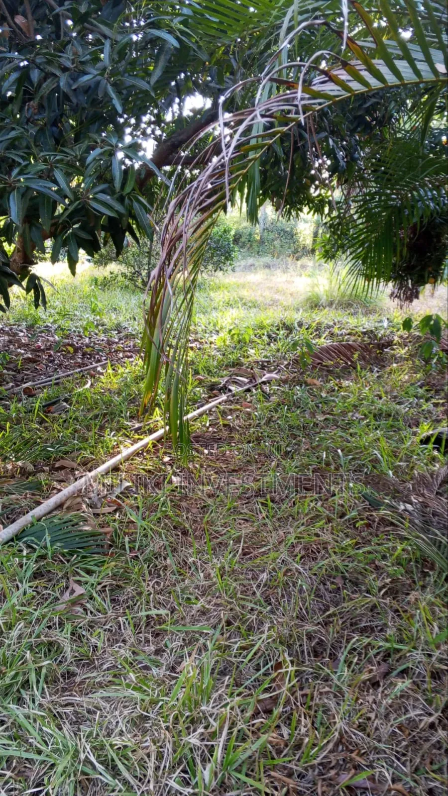 10 Acres on Sale Gatanga in Gatanga