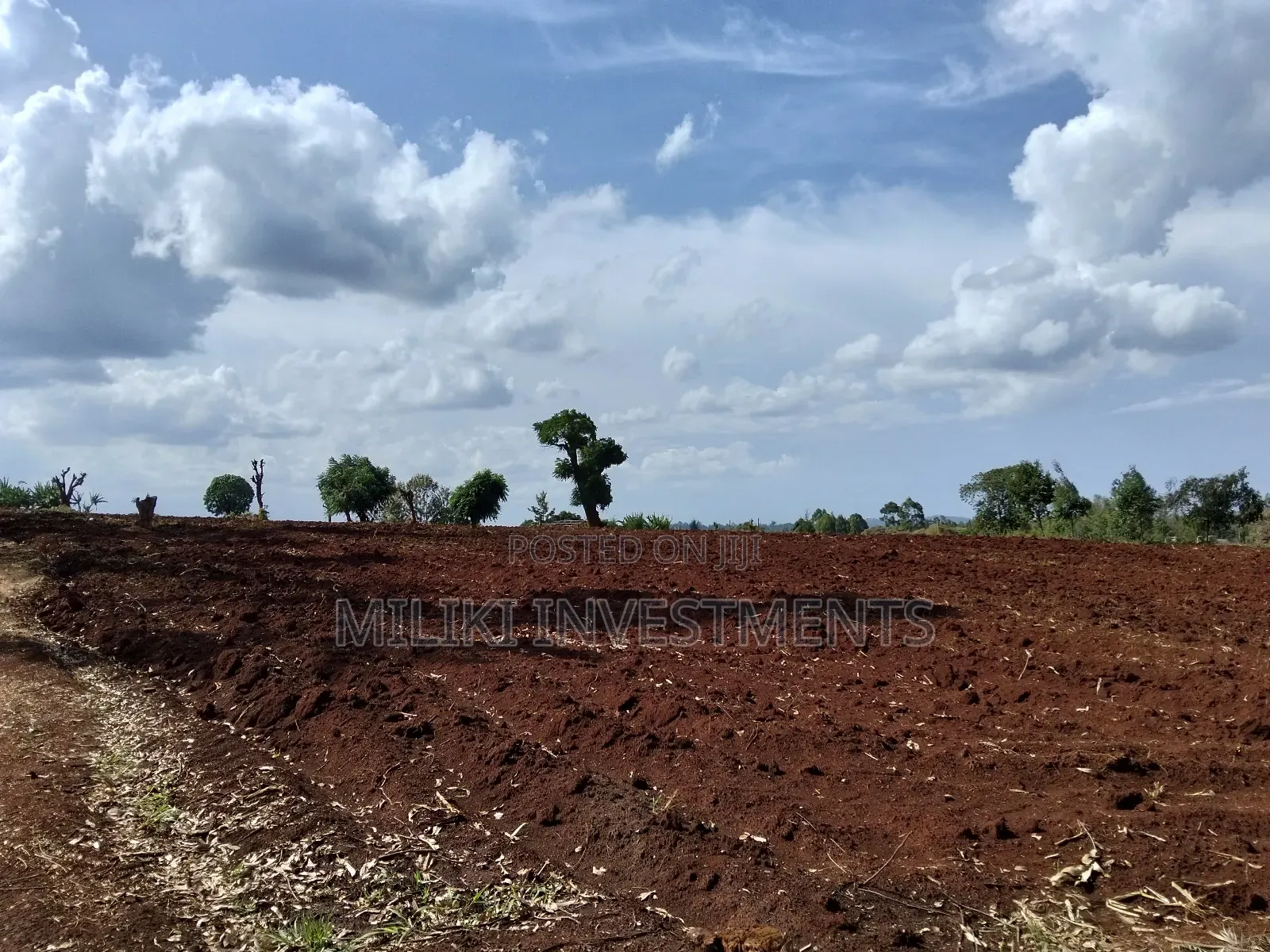 22 Acres on Sale at Maragua-Sammar in Nginda