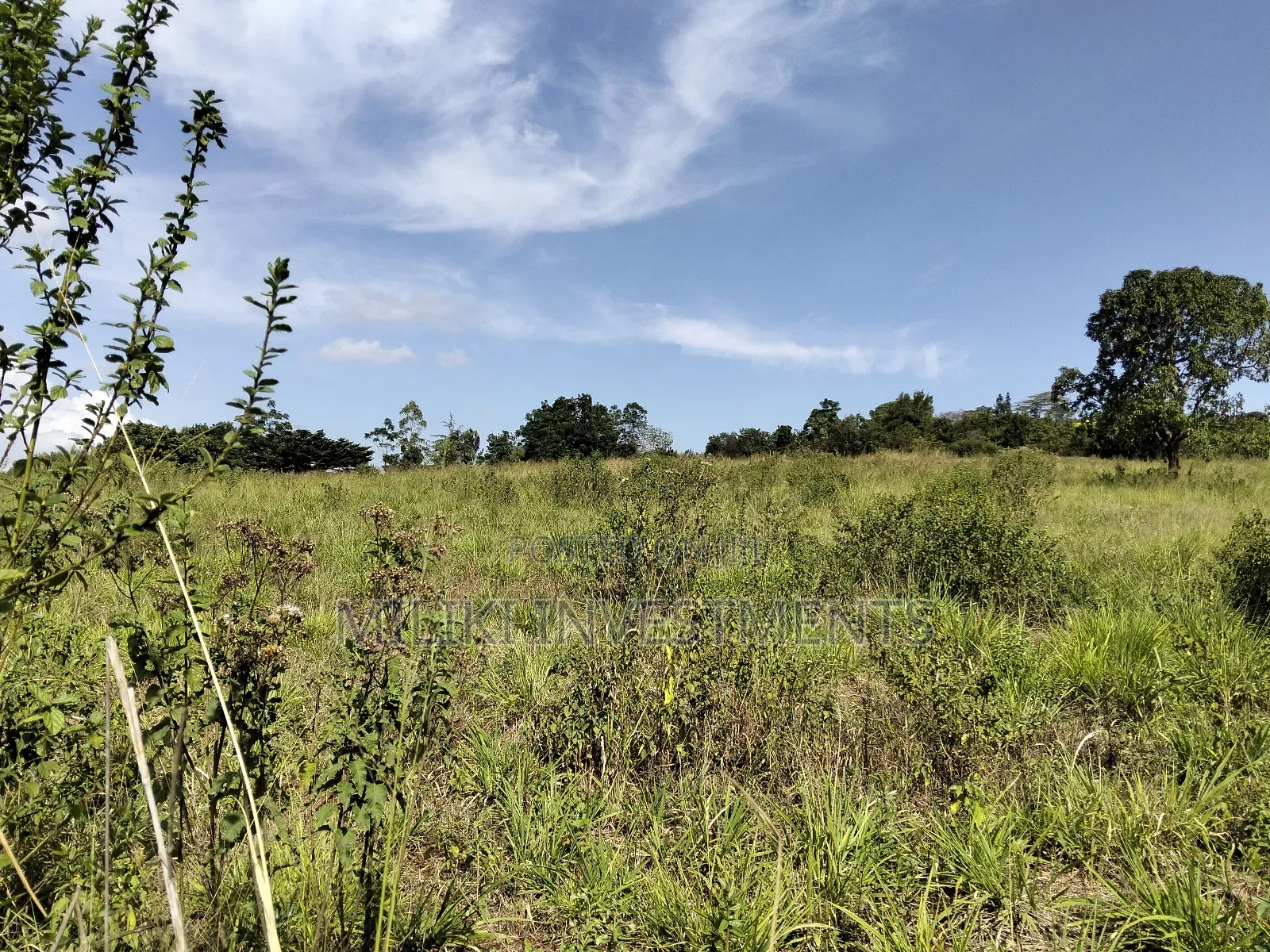 22 Acres on Sale at Maragua-Sammar in Nginda