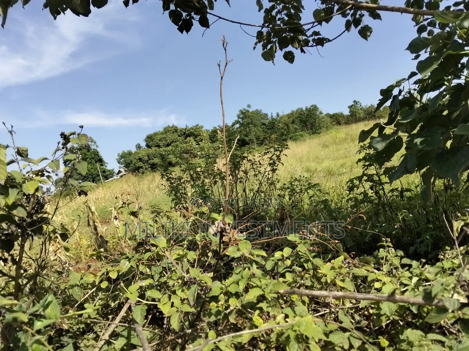 22 Acres on Sale at Maragua-Sammar in Nginda