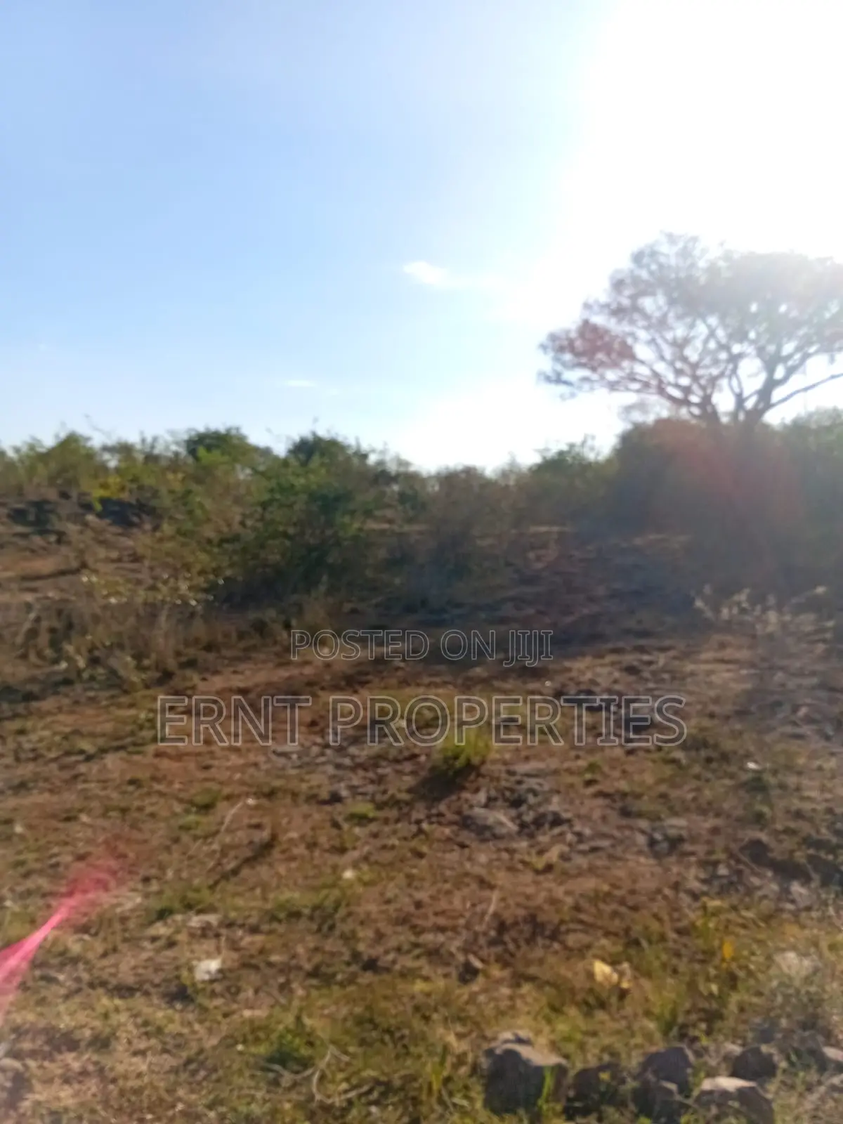 Prime 1/4 Acre Residential Plots for Sale in Rongai in Ongata Rongai