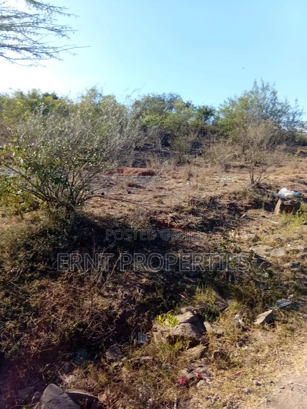 Prime 1/4 Acre Residential Plots for Sale in Rongai in Ongata Rongai