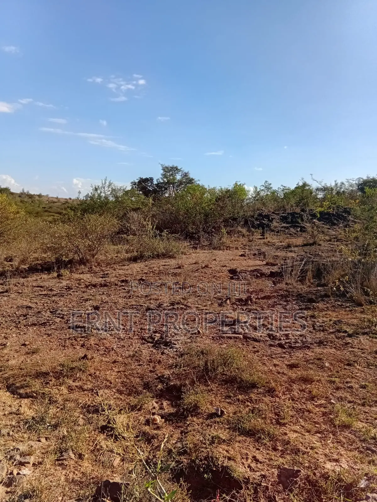 Prime 1/4 Acre Residential Plots for Sale in Rongai in Ongata Rongai