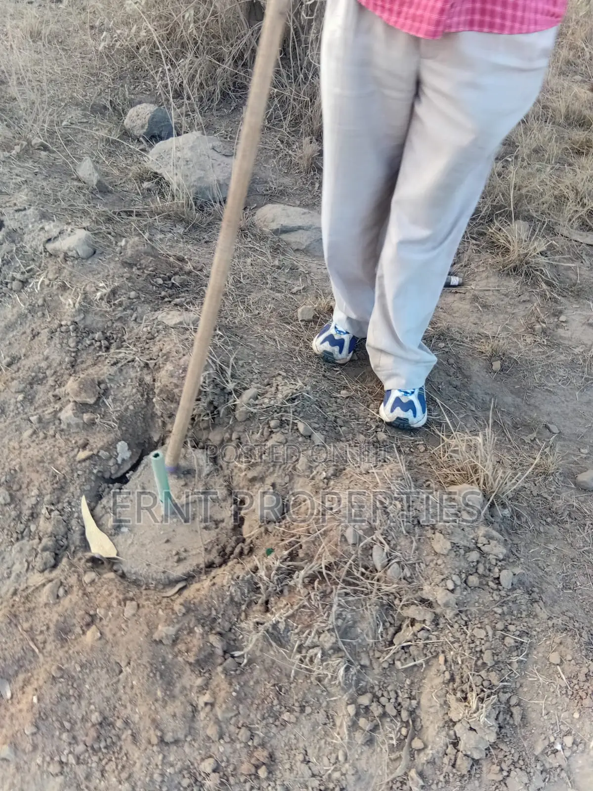Easter Offer 26 1/4 Acre Plots for Sale Near African Nazarene in Ongata Rongai