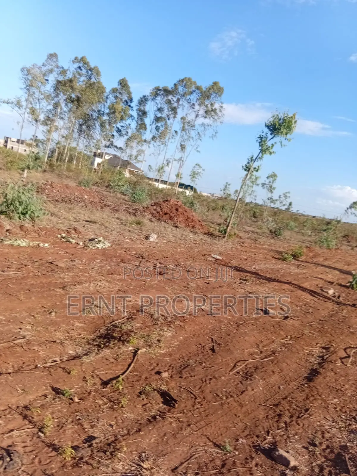 Easter Offer 26 1/4 Acre Plots for Sale Near African Nazarene in Ongata Rongai