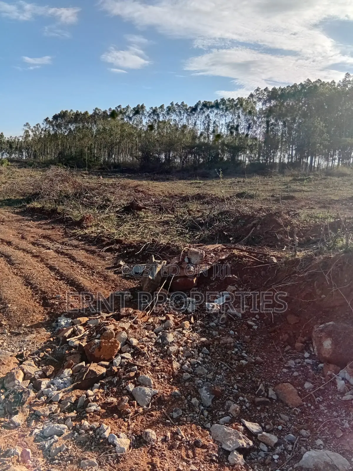 Easter Offer 26 1/4 Acre Plots for Sale Near African Nazarene in Ongata Rongai
