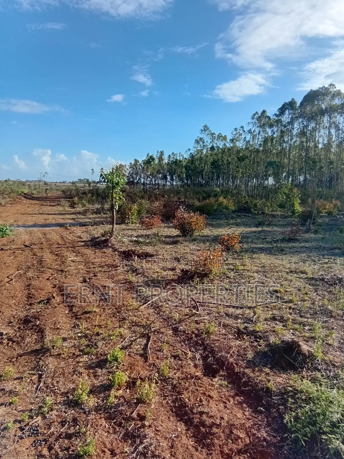 Easter Offer 26 1/4 Acre Plots for Sale Near African Nazarene in Ongata Rongai