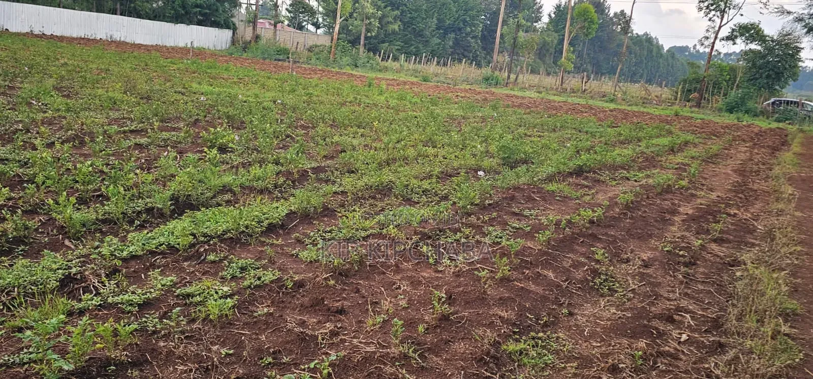 Several Plots for Sale in Racecours Eldoret in Racecourse