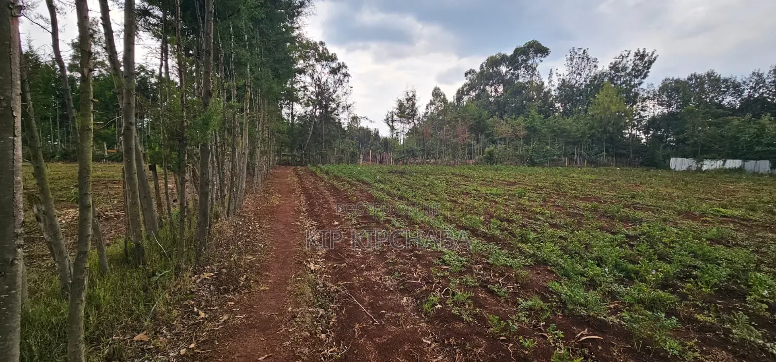 Several Plots for Sale in Racecours Eldoret in Racecourse