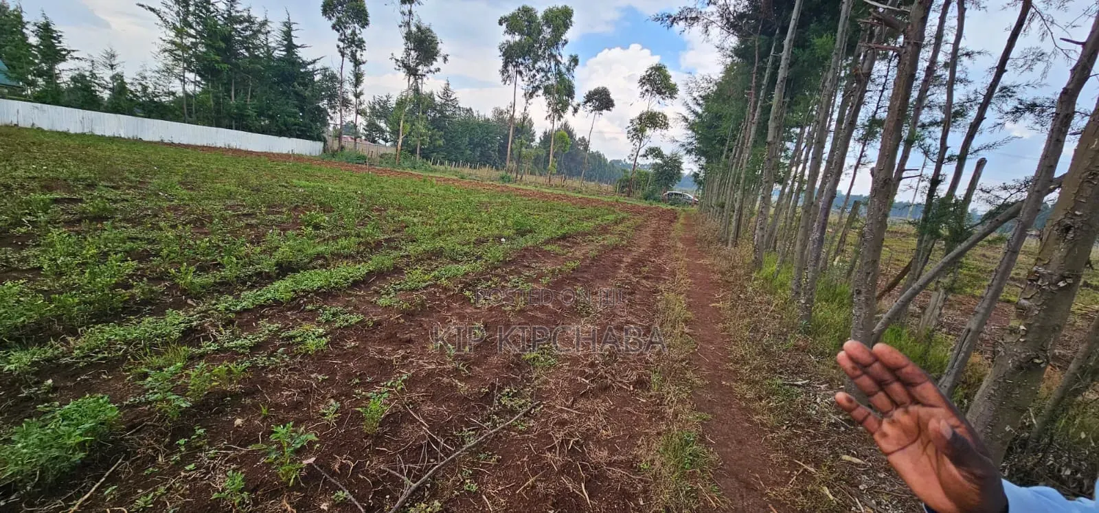 Several Plots for Sale in Racecours Eldoret in Racecourse