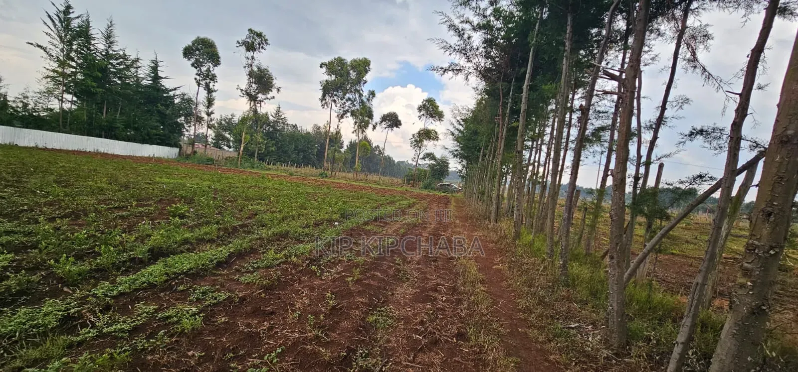 Several Plots for Sale in Racecours Eldoret in Racecourse