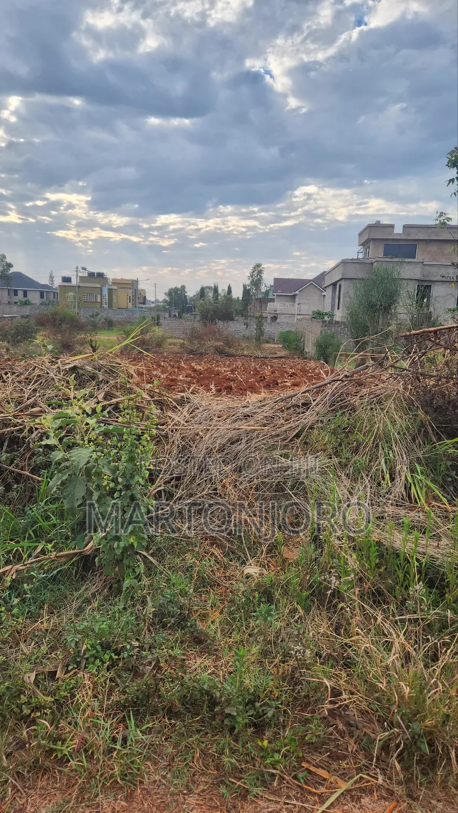 Mugutha Behide Spurmall Ruiru in RedSoil Estate