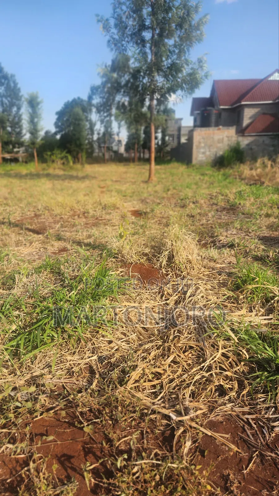 Mugutha Behide Spurmall Ruiru in RedSoil Estate