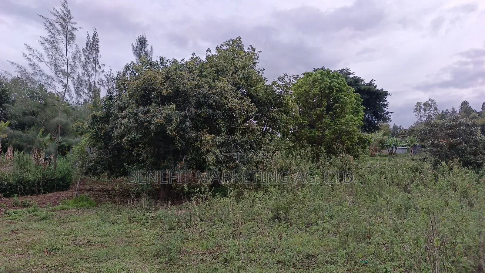 50*100 Plot for Sale in Ngong Kahara Road Near Kiserian in Ngong